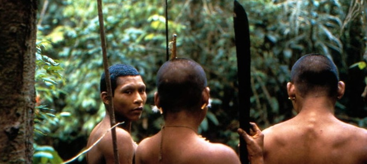 Imagen de fondo — personajes en la selva